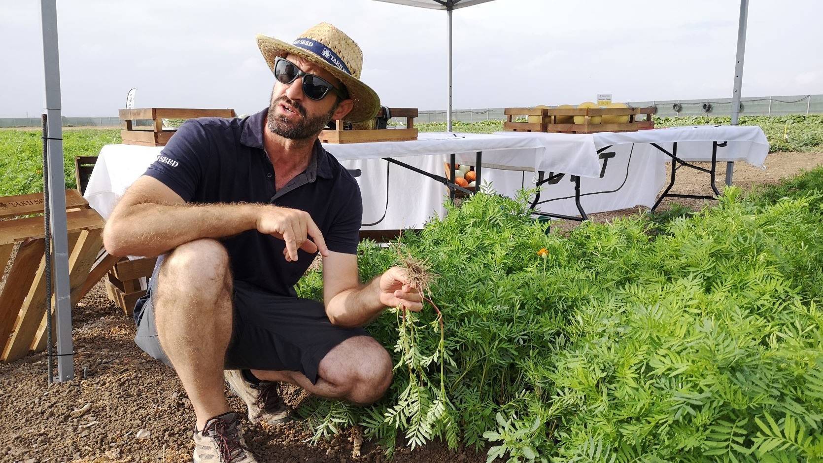 Takii Jaime Dolz y Tagetes patula IMG_20220706_092500 (2)